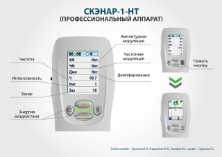 СКЭНАР-1-НТ (исполнение 01)  в Томске купить Медицинская техника - denasosteo.ru 